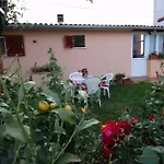 Matej