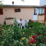 Matej