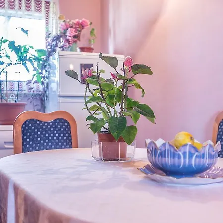 Apartment Matej Sisan